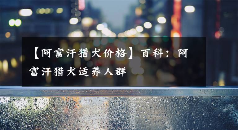 【阿富汗猎犬价格】百科：阿富汗猎犬适养人群