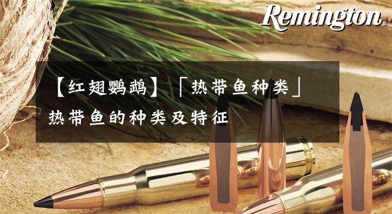 【红翅鹦鹉】「热带鱼种类」热带鱼的种类及特征