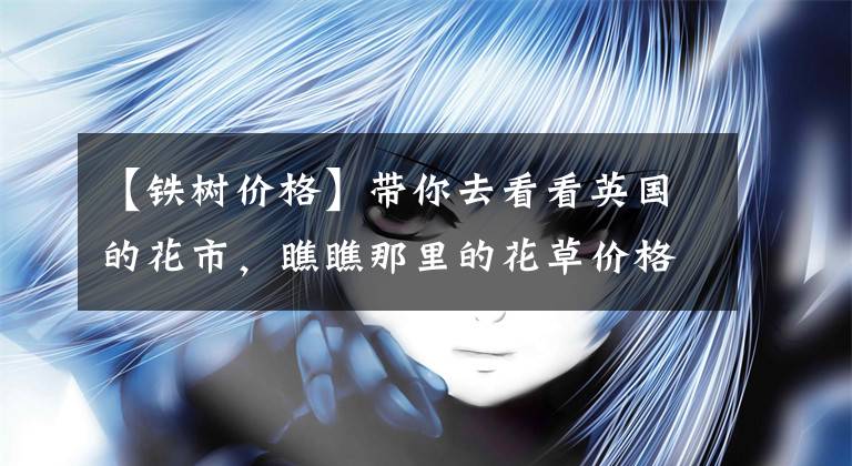 【铁树价格】带你去看看英国的花市，瞧瞧那里的花草价格！