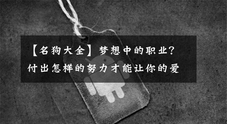 【名狗大全】梦想中的职业？付出怎样的努力才能让你的爱犬成为明星？