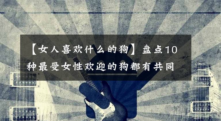 【女人喜欢什么的狗】盘点10种最受女性欢迎的狗都有共同的特征