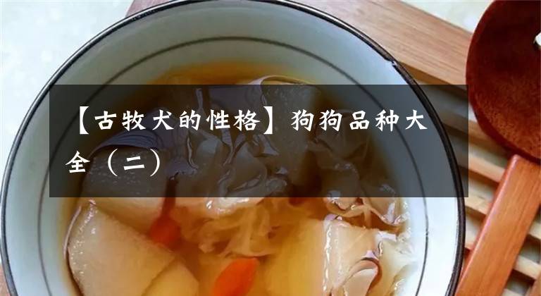 【古牧犬的性格】狗狗品种大全（二）