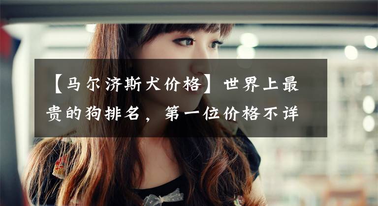 【马尔济斯犬价格】世界上最贵的狗排名，第一位价格不详，小撒高居第二！