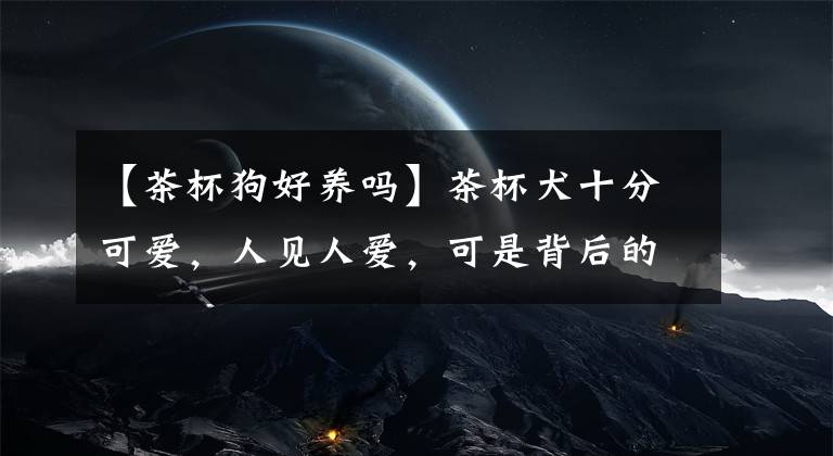 【茶杯狗好养吗】茶杯犬十分可爱，人见人爱，可是背后的残忍真相却令人泪目