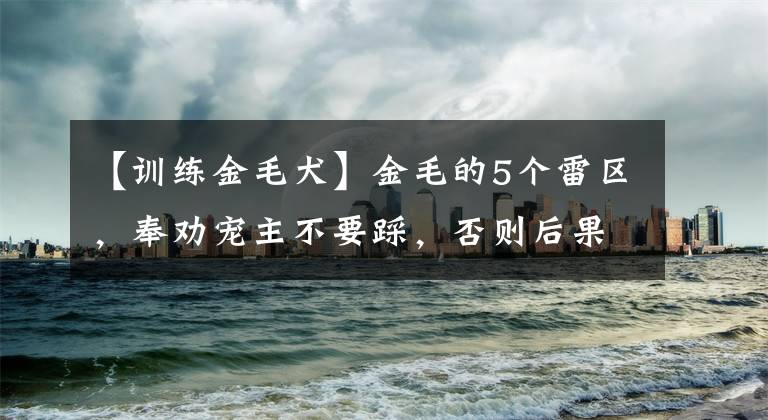 【训练金毛犬】金毛的5个雷区，奉劝宠主不要踩，否则后果很严重