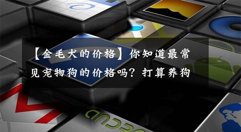 【金毛犬的价格】你知道最常见宠物狗的价格吗？打算养狗的不要买贵了