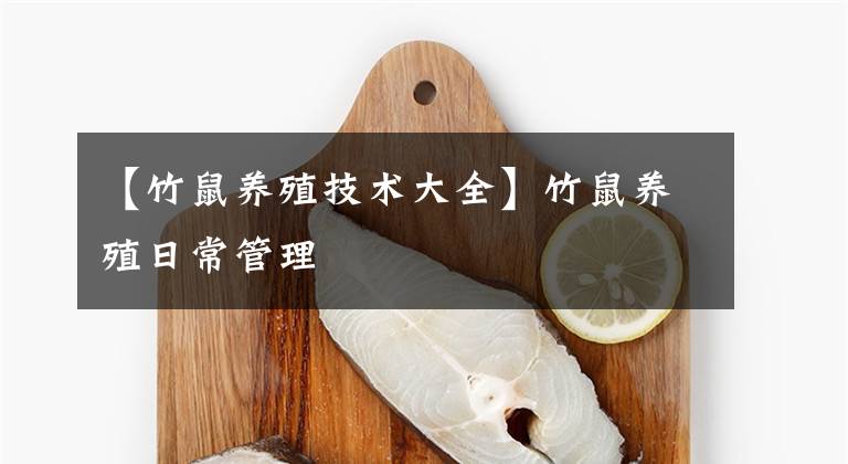 【竹鼠养殖技术大全】竹鼠养殖日常管理