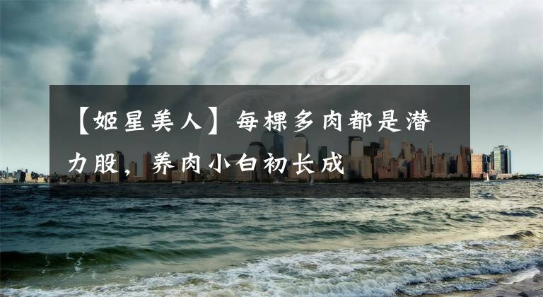 【姬星美人】每棵多肉都是潜力股，养肉小白初长成