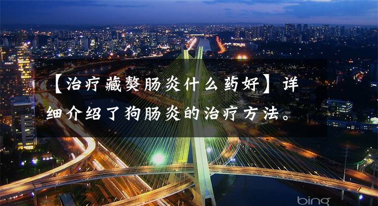 【治疗藏獒肠炎什么药好】详细介绍了狗肠炎的治疗方法。