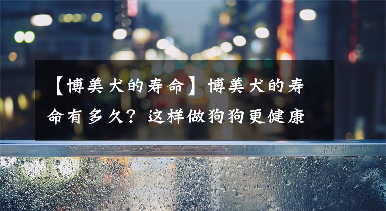 【博美犬的寿命】博美犬的寿命有多久？这样做狗狗更健康