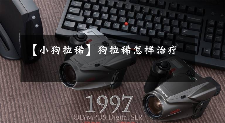 【小狗拉稀】狗拉稀怎样治疗