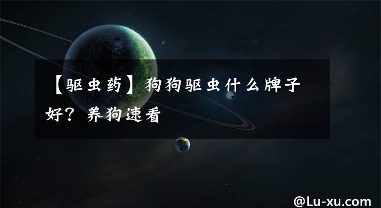 【驱虫药】狗狗驱虫什么牌子好？养狗速看