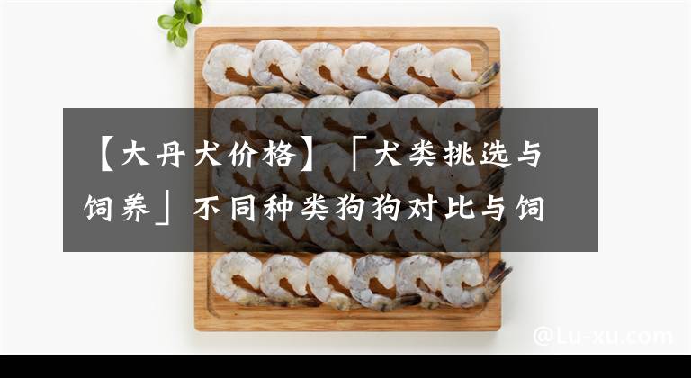 【大丹犬价格】「犬类挑选与饲养」不同种类狗狗对比与饲养指南 狗狗种类对比汇总