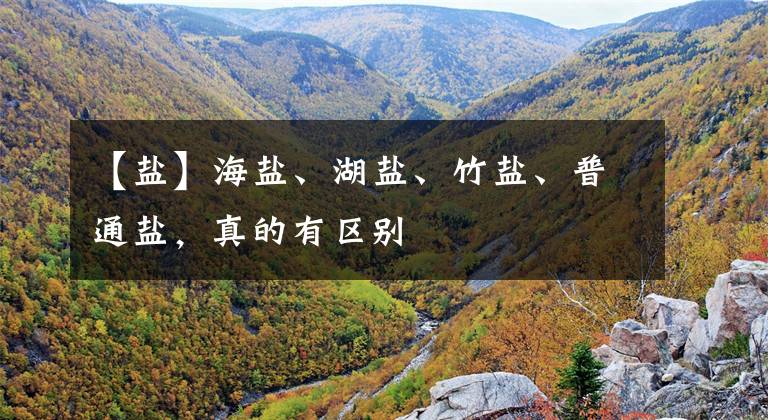【盐】海盐、湖盐、竹盐、普通盐，真的有区别