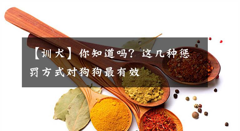 【训犬】你知道吗？这几种惩罚方式对狗狗最有效