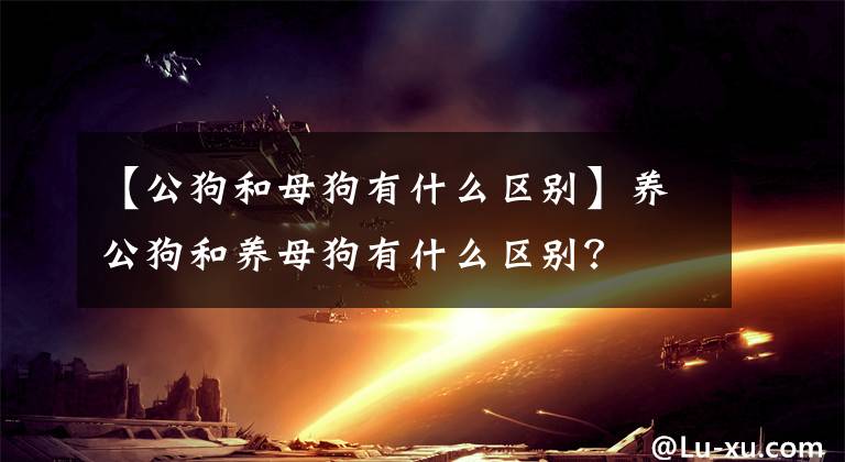 【公狗和母狗有什么区别】养公狗和养母狗有什么区别？