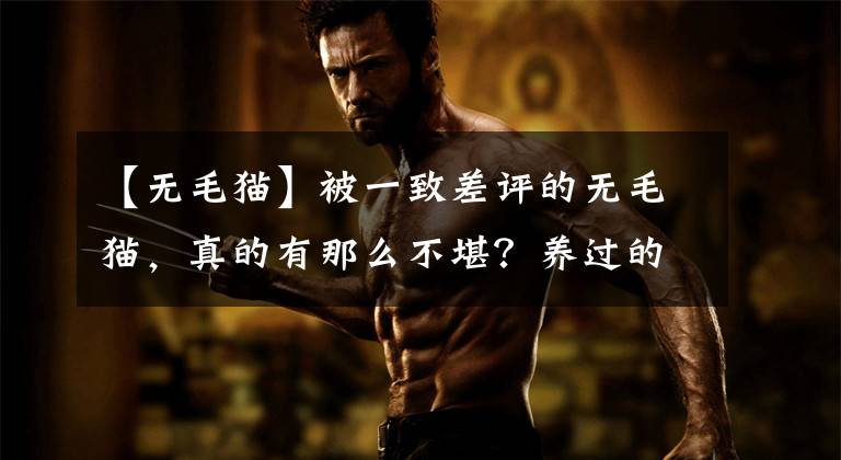 【无毛猫】被一致差评的无毛猫，真的有那么不堪？养过的人才知道，真香
