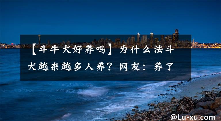 【斗牛犬好养吗】为什么法斗犬越来越多人养？网友：养了才知道“真香”