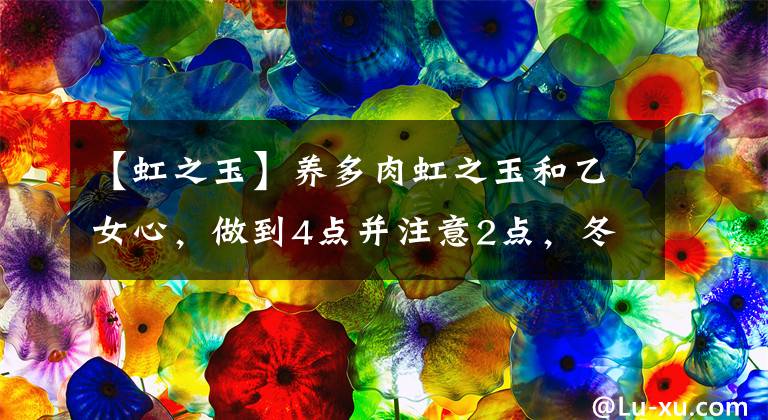 【虹之玉】养多肉虹之玉和乙女心，做到4点并注意2点，冬天上色既水灵又好看