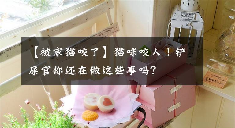 【被家猫咬了】猫咪咬人！铲屎官你还在做这些事吗？