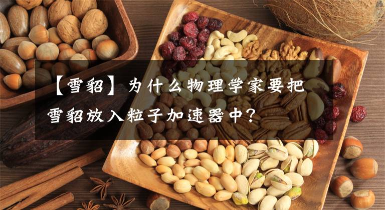 【雪貂】为什么物理学家要把雪貂放入粒子加速器中？
