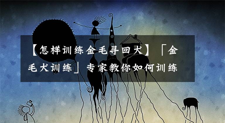 【怎样训练金毛寻回犬】「金毛犬训练」专家教你如何训练金毛犬