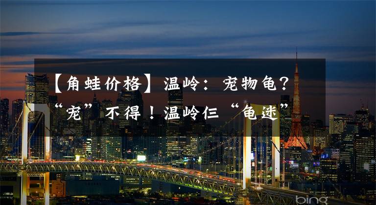 【角蛙价格】温岭：宠物龟？“宠”不得！温岭仨“龟迷”因买濒危野生动物涉刑！