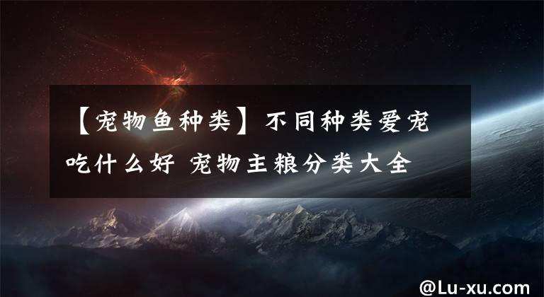 【宠物鱼种类】不同种类爱宠吃什么好 宠物主粮分类大全
