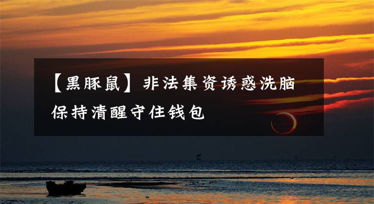 【黑豚鼠】非法集资诱惑洗脑 保持清醒守住钱包