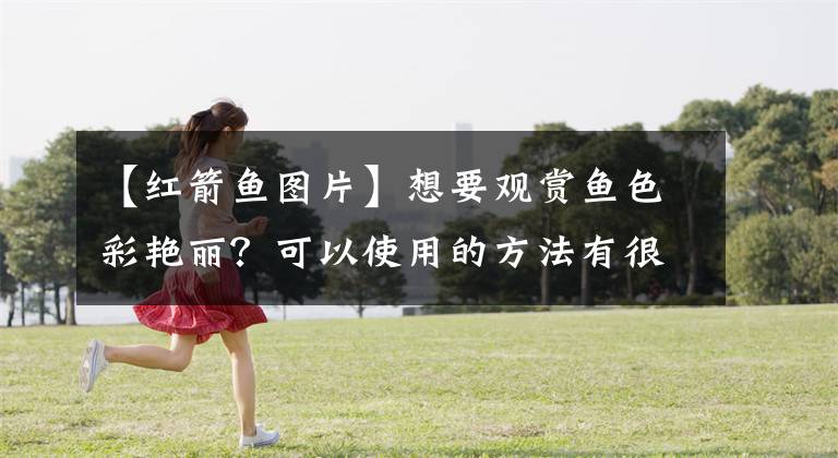 【红箭鱼图片】想要观赏鱼色彩艳丽？可以使用的方法有很多，并不排斥增色饲料