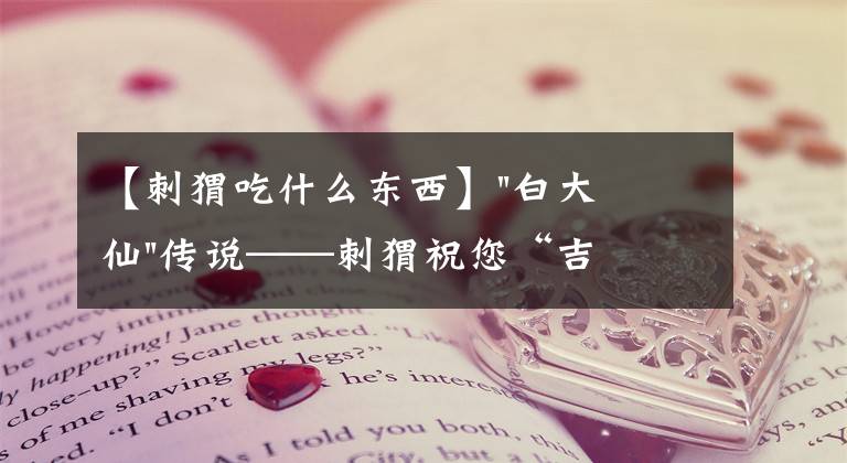 【刺猬吃什么东西】"白大仙"传说——刺猬祝您“吉祥安康，财源滚滚。”