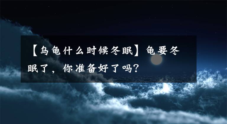 【乌龟什么时候冬眠】龟要冬眠了，你准备好了吗？