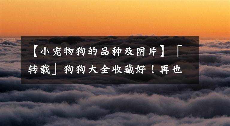 【小宠物狗的品种及图片】「转载」狗狗大全收藏好！再也不用担心叫不出宠物狗的品种名称了