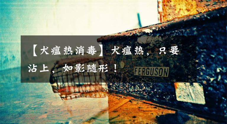 【犬瘟热消毒】犬瘟热，只要沾上，如影随形！