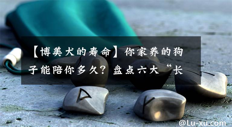 【博美犬的寿命】你家养的狗子能陪你多久？盘点六大“长寿狗”，你养了没？