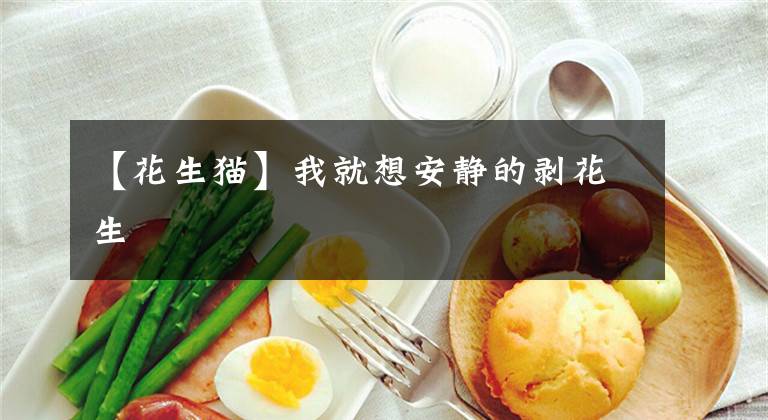 【花生猫】我就想安静的剥花生