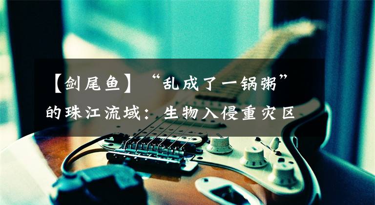 【剑尾鱼】“乱成了一锅粥”的珠江流域：生物入侵重灾区，鱼种间互相竞争