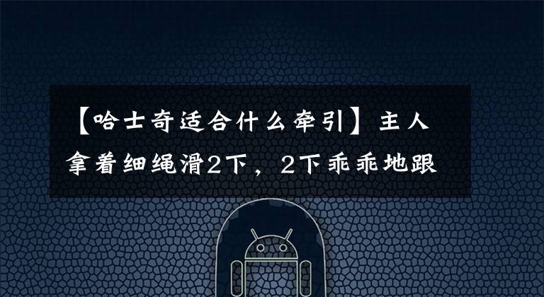 【哈士奇适合什么牵引】主人拿着细绳滑2下，2下乖乖地跟在主人身边，2下：不要学我主人