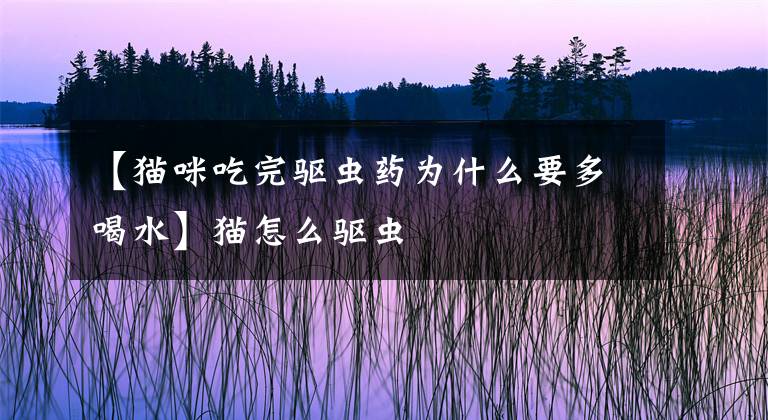 【猫咪吃完驱虫药为什么要多喝水】猫怎么驱虫