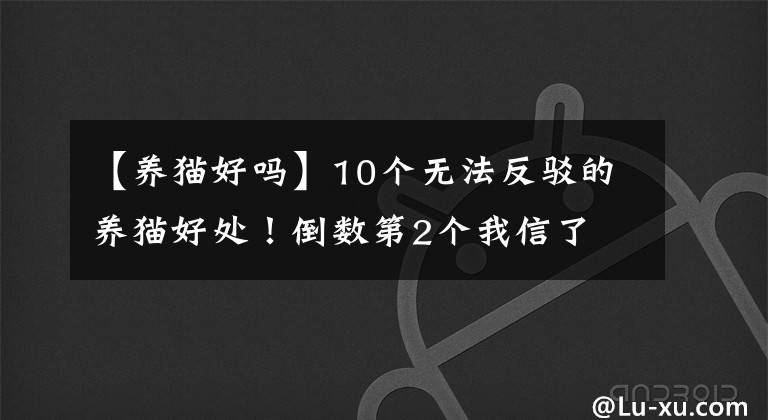 【养猫好吗】10个无法反驳的养猫好处！倒数第2个我信了