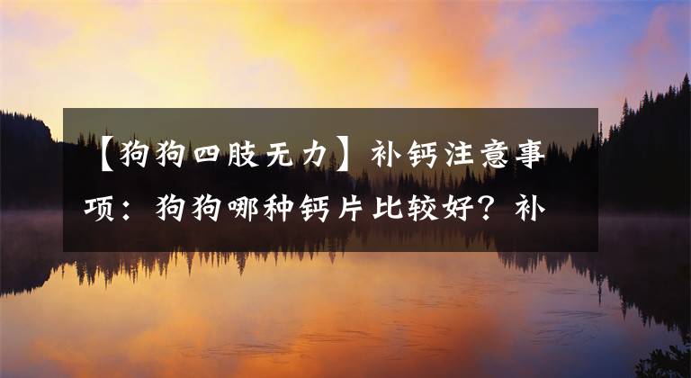 【狗狗四肢无力】补钙注意事项：狗狗哪种钙片比较好？补充的速度会比较快？