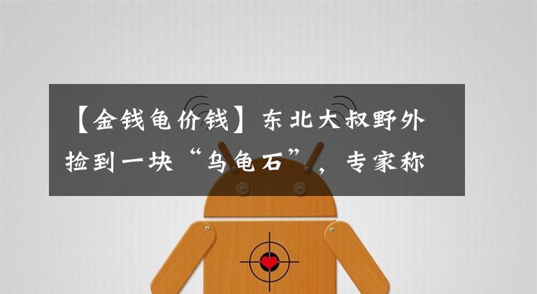 【金钱龟价钱】东北大叔野外捡到一块“乌龟石”，专家称是顶级宝物，估1.2亿元