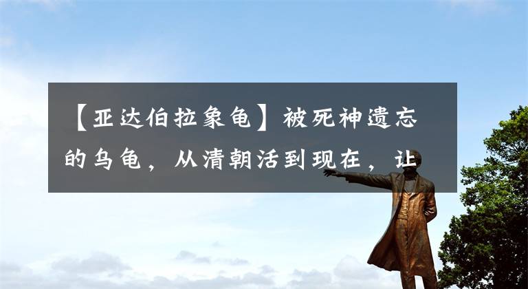【亚达伯拉象龟】被死神遗忘的乌龟，从清朝活到现在，让无数人羡慕不已