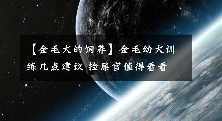 【金毛犬的饲养】金毛幼犬训练几点建议 捡屎官值得看看
