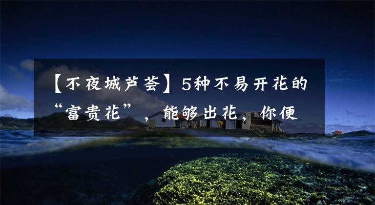 【不夜城芦荟】5种不易开花的“富贵花”，能够出花，你便是养花的高手