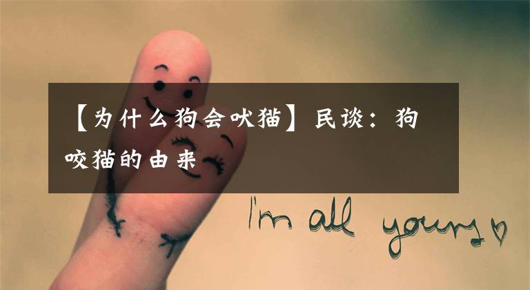 【为什么狗会吠猫】民谈：狗咬猫的由来