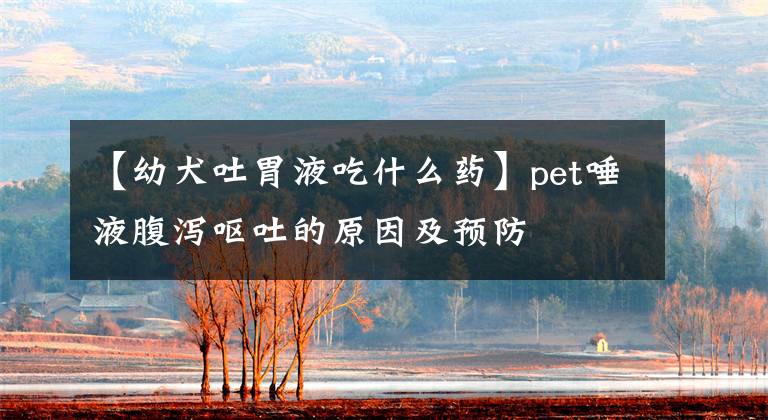 【幼犬吐胃液吃什么药】pet唾液腹泻呕吐的原因及预防