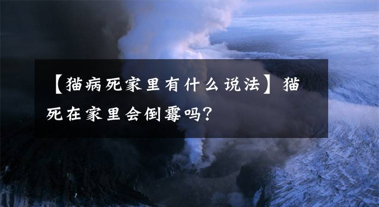 【猫病死家里有什么说法】猫死在家里会倒霉吗？