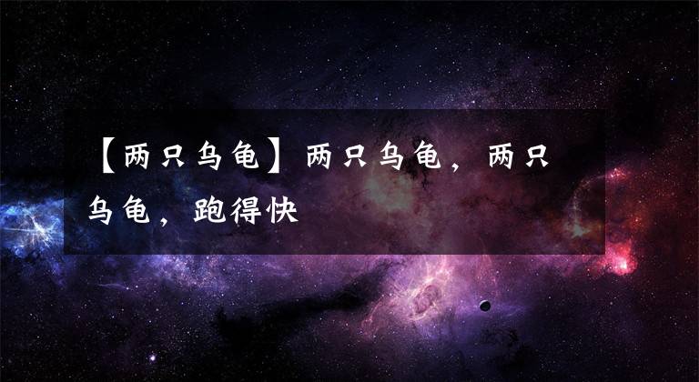 【两只乌龟】两只乌龟，两只乌龟，跑得快