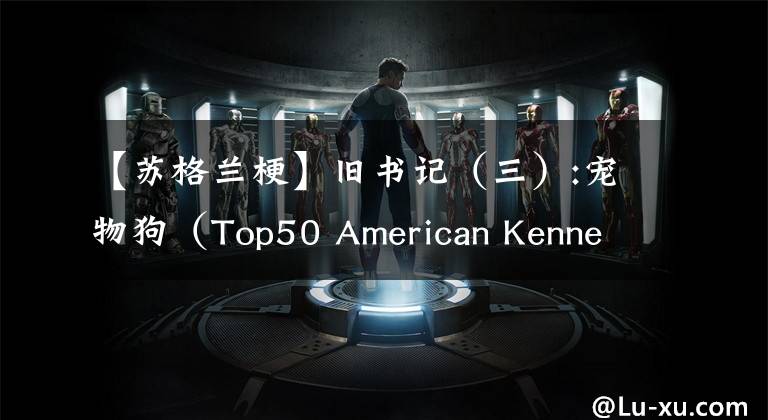 【苏格兰梗】旧书记（三）:宠物狗（Top50 American Kennel Club Registrations)